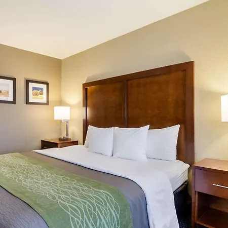Comfort Inn Garden City-3