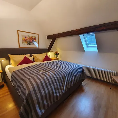 Hotel Goldener Falke-2