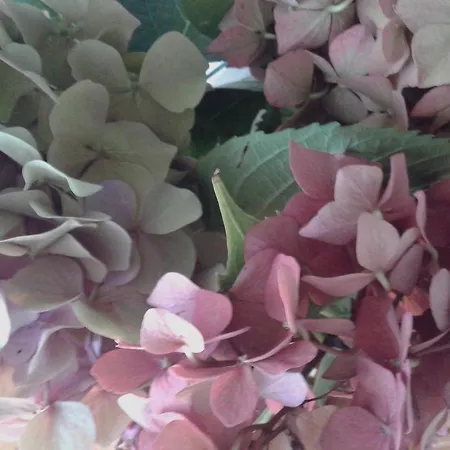 Balneum Boutique Hotel & B&B-3