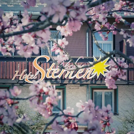 Wochner's Hotel-Sternen Am Schluchsee Hochschwarzwald-2