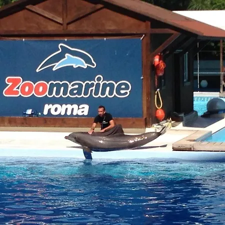 Blue Marine di Ostia-3