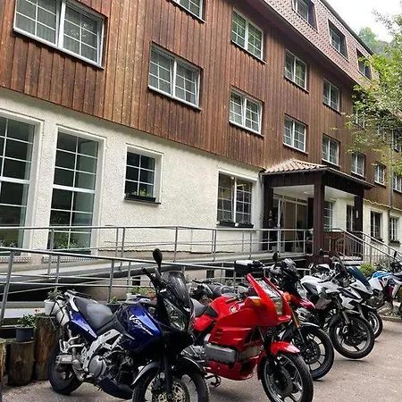 Waldhotel Harz Ilsenburg-2