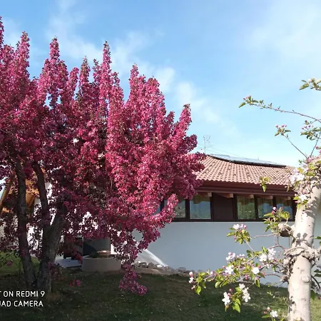 Agritur Deromedi-3