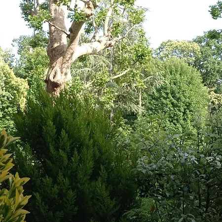 Homestay B&B La Bruyere Chez L'Habitant-3