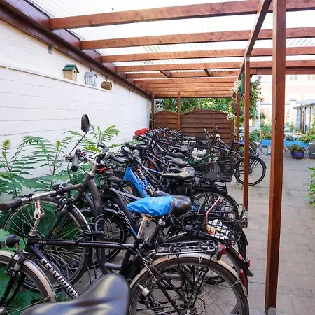 Hotel Zur Mühle-3