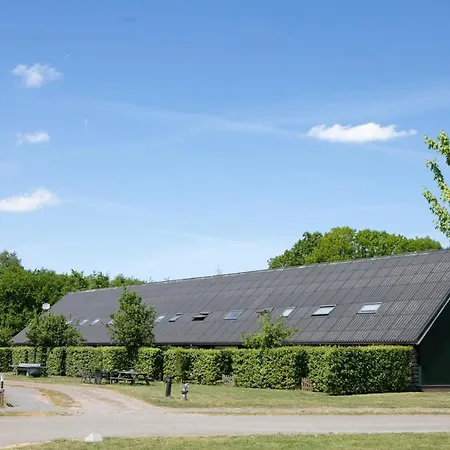 Horsetellerie Rheezerveen-3