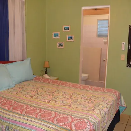 Palmetto Guesthouse-2