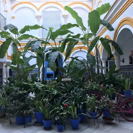 La Casa en el Centro-2