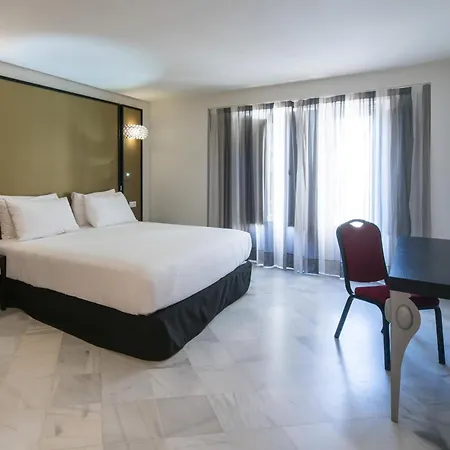 Hotel Palacio Marqués de Arizón-2