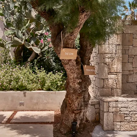 Phaea Cretan Malia, A Member Of Design Hotels-2