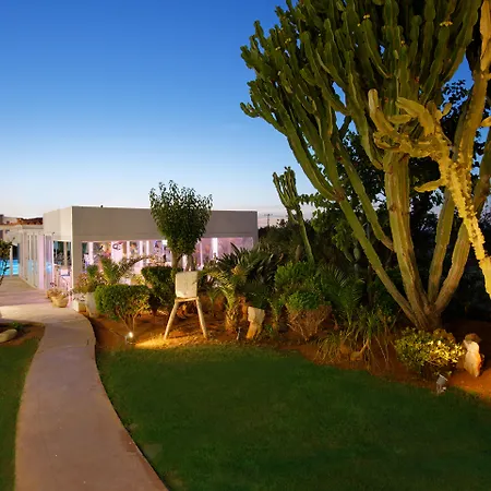 Oasis Beach Hotel - Adults Only-3
