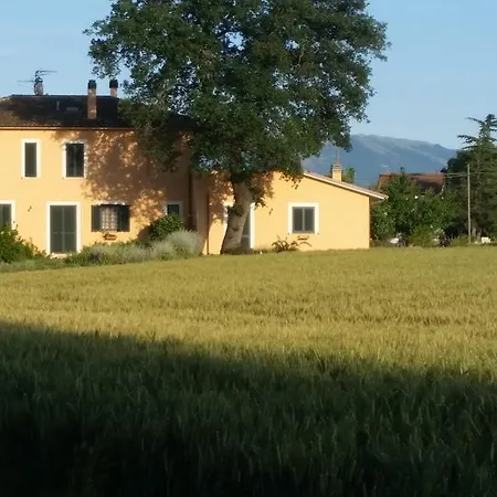 B&B Le Rose-3