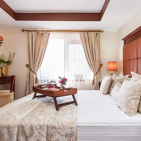 Alzer Hotel-2
