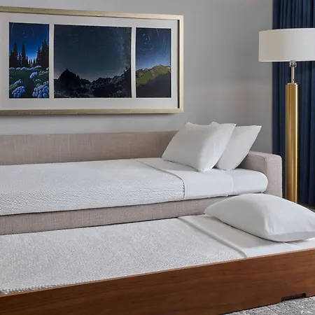 Springhill Suites By Marriott Denver Downtown-3