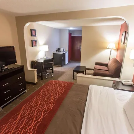 Comfort Inn Pittsburgh Crafton-2