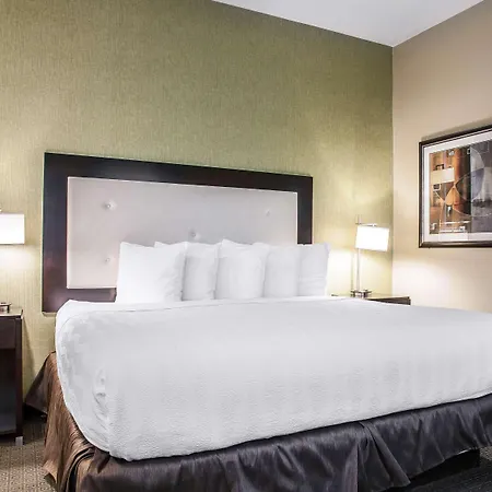 Envision Hotel Boston-Longwood, Ascend Hotel Collection-2