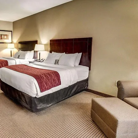 Comfort Inn & Suites Alvarado-3