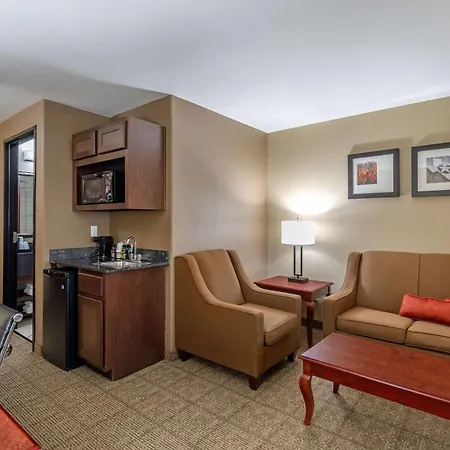 Comfort Suites Ennis-3