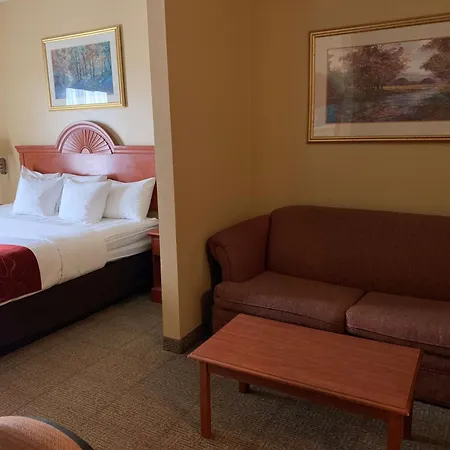 Surestay Plus Hotel By Best Western Mesquite-3