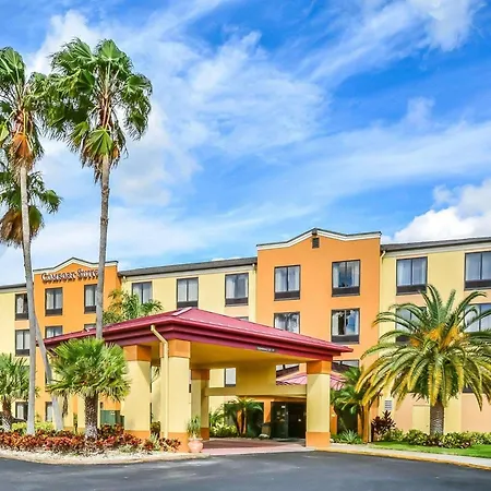 Comfort Suites Tampa - Brandon-2