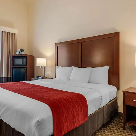 Comfort Inn & Suites Fort Myers Airport-2