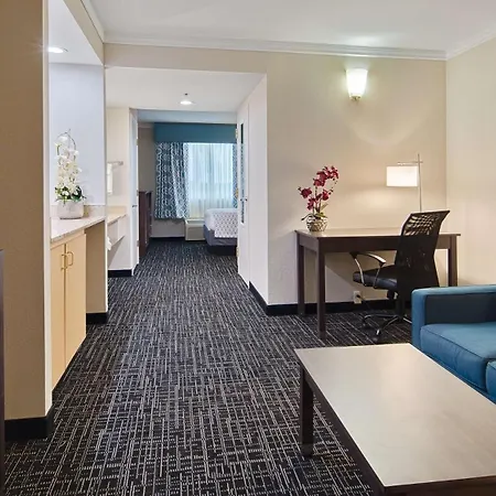 Best Western Fort Myers Inn&Suites-3