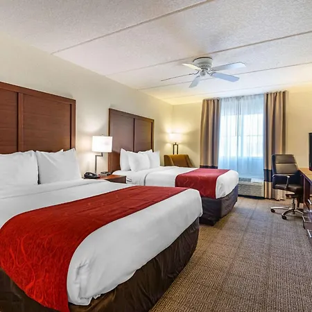 Comfort Inn Kissimmee-Lake Buena Vista South-2
