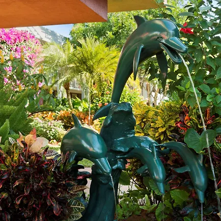 Collins Hotel Naples-3