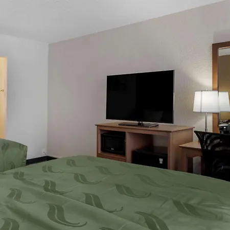 Quality Inn Saint Petersburg North-Tampa Bay-3