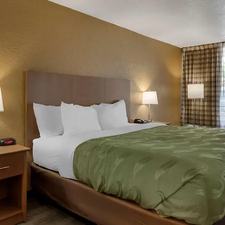 Quality Inn Saint Petersburg North-Tampa Bay-2