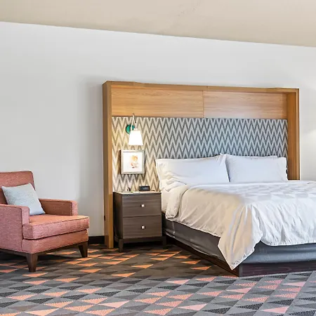 Holiday Inn - St. Petersburg West By Ihg-2