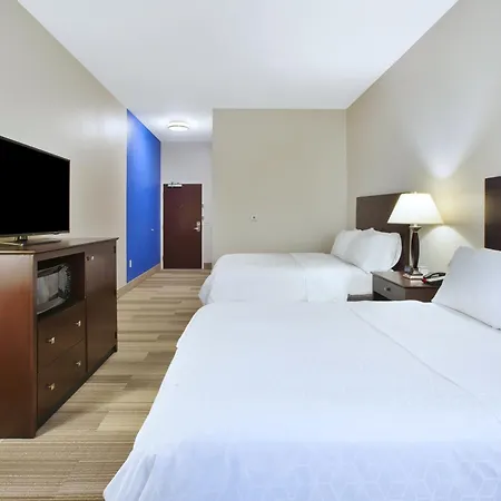 Holiday Inn Express Niles By Ihg-2