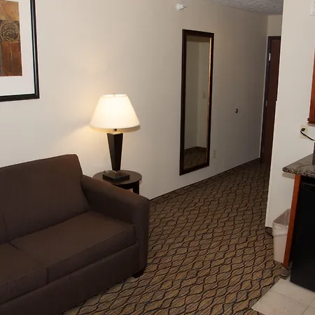 Holiday Inn Express Hotel & Suites Cadillac By Ihg-3