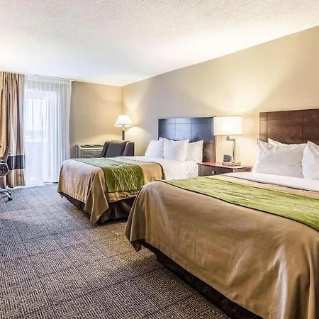 Comfort Inn Lansing West-3