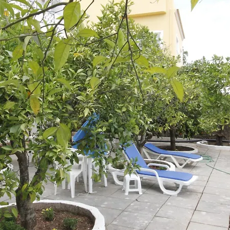 Vila Sodre Guest House-2