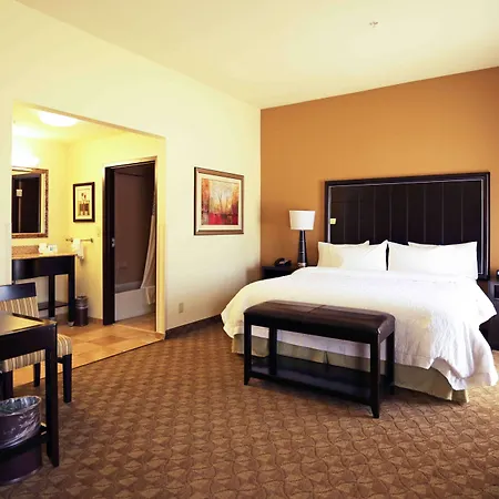 Hampton Inn & Suites Mcalester-2