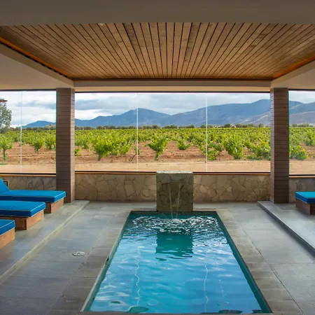 Hotel Boutique Valle De Guadalupe & Spa-2