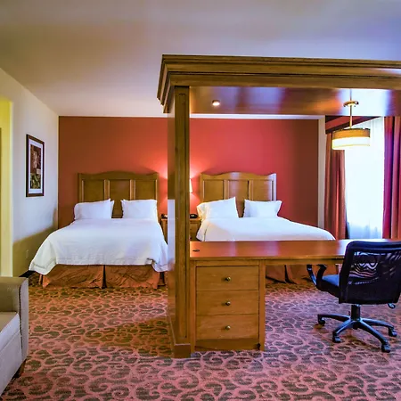Hampton Inn & Suites Bastrop-3