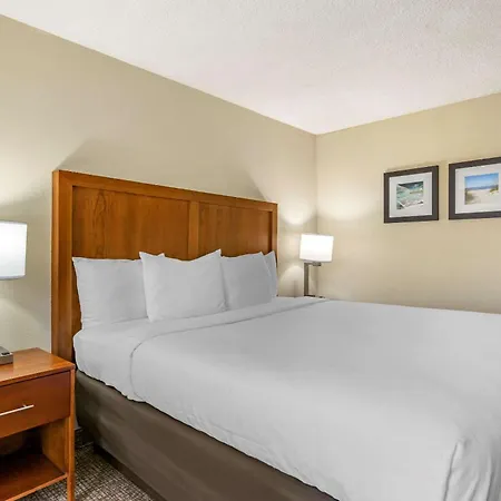 Comfort Inn & Suites St Pete - Clearwater International Airport-2
