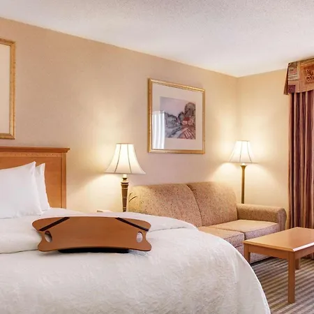 Hampton Inn & Suites Addison-3