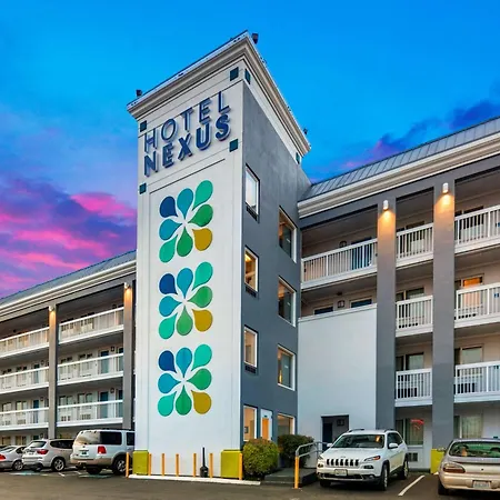 Hotel Nexus; BW Signature Collection-3