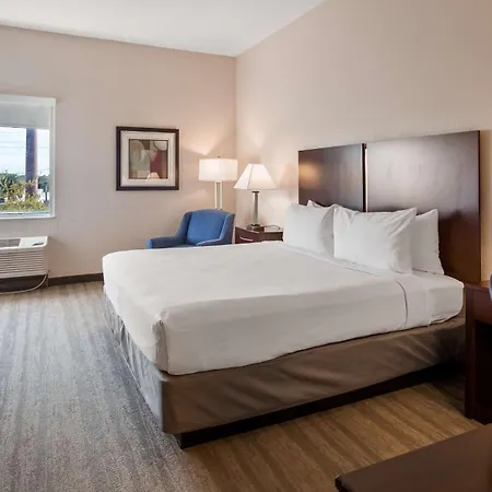 Best Western Tampa-2