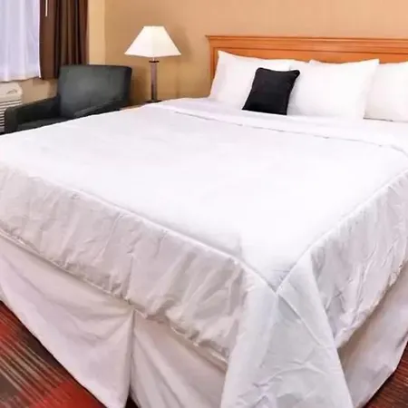 Quality Inn & Suites Airport-3