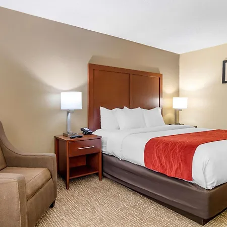 Comfort Inn & Suites Macon North I-75-3
