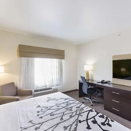 Sleep Inn & Suites Midland West-3
