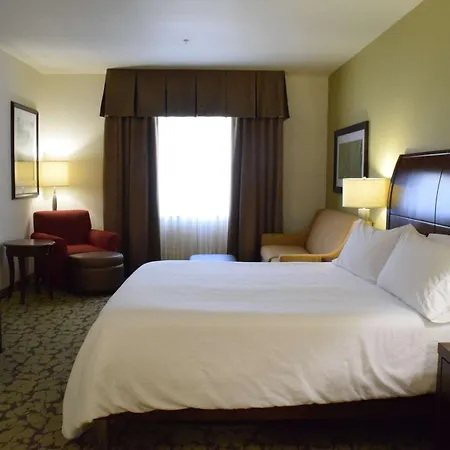 Hilton Garden Inn Rochester Downtown, Ny-3