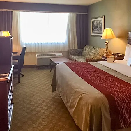 Comfort Inn Springfield-2