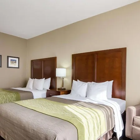 Comfort Inn Garden City-2