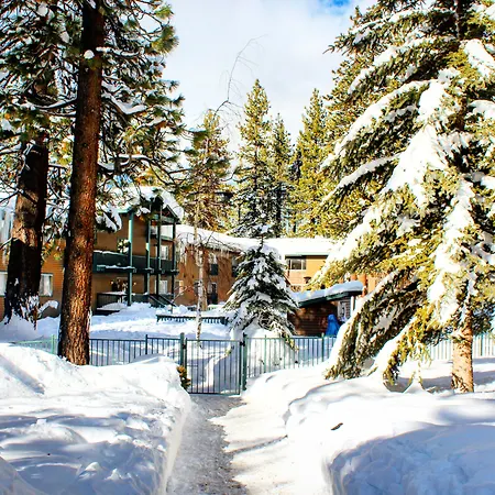 Forest Suites Resort At The Heavenly Village-3
