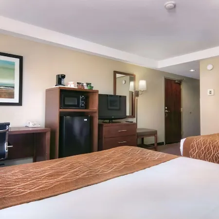 Comfort Inn Silicon Valley East-2